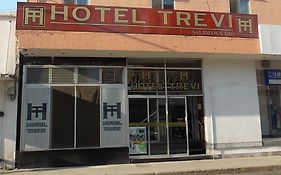 Hotel Trevi